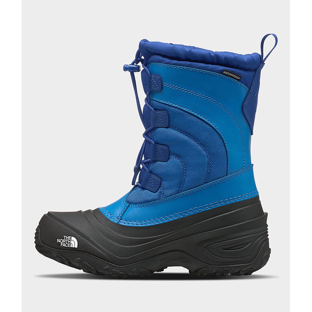 The North Face Boots Youth Australia - The North Face Alpenglow Iv Blue Black (LQK-815374)